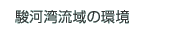 �x�͘p����̊�